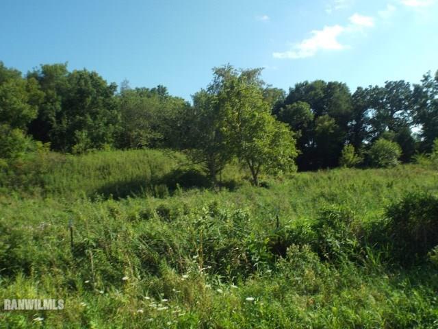 1735 West Steele Road Hanover, IL 61041 - Photo 34 of 70 a view of a lush green space