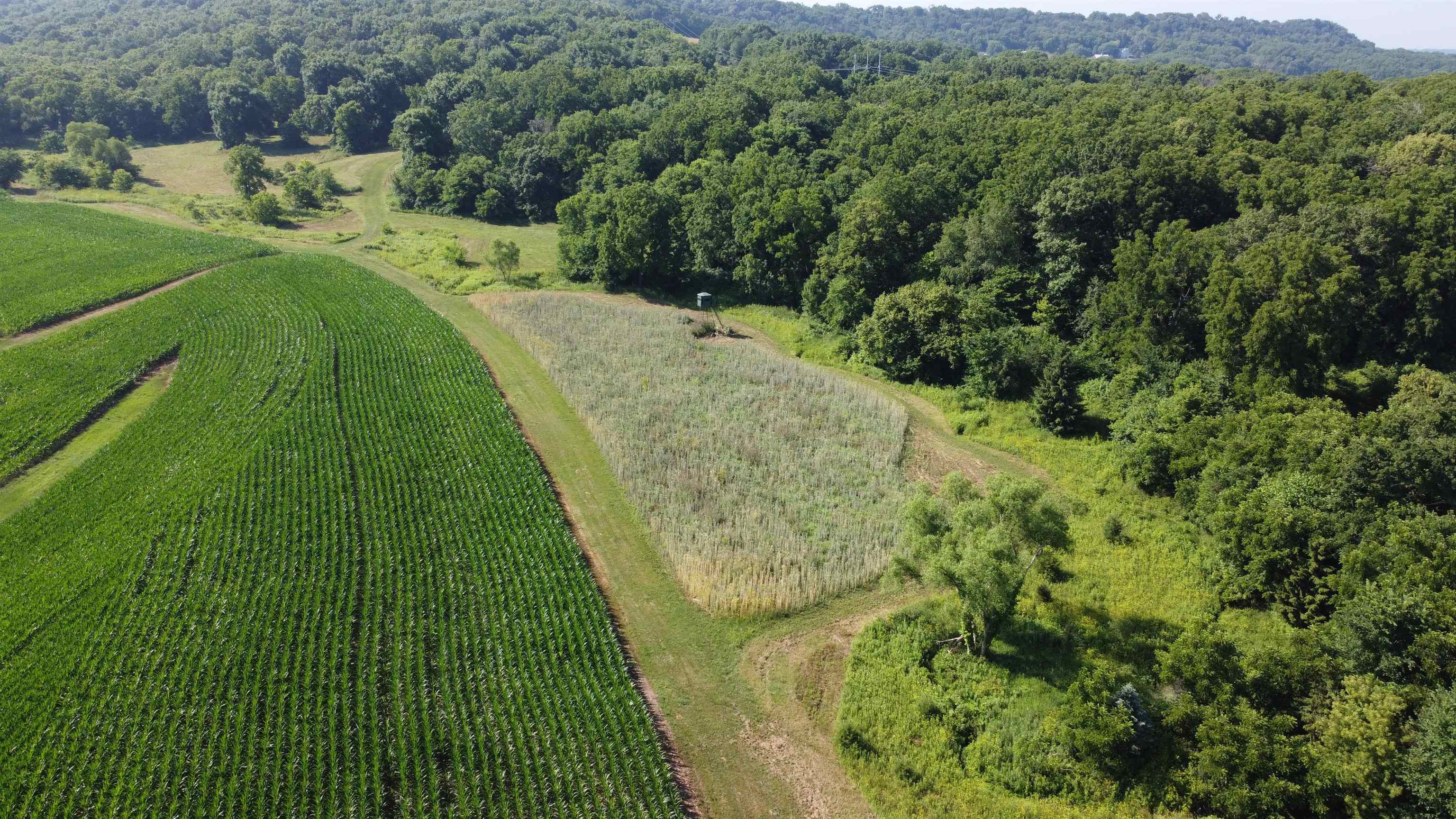 1735 West Steele Road Hanover, IL 61041 - Photo 35 of 70