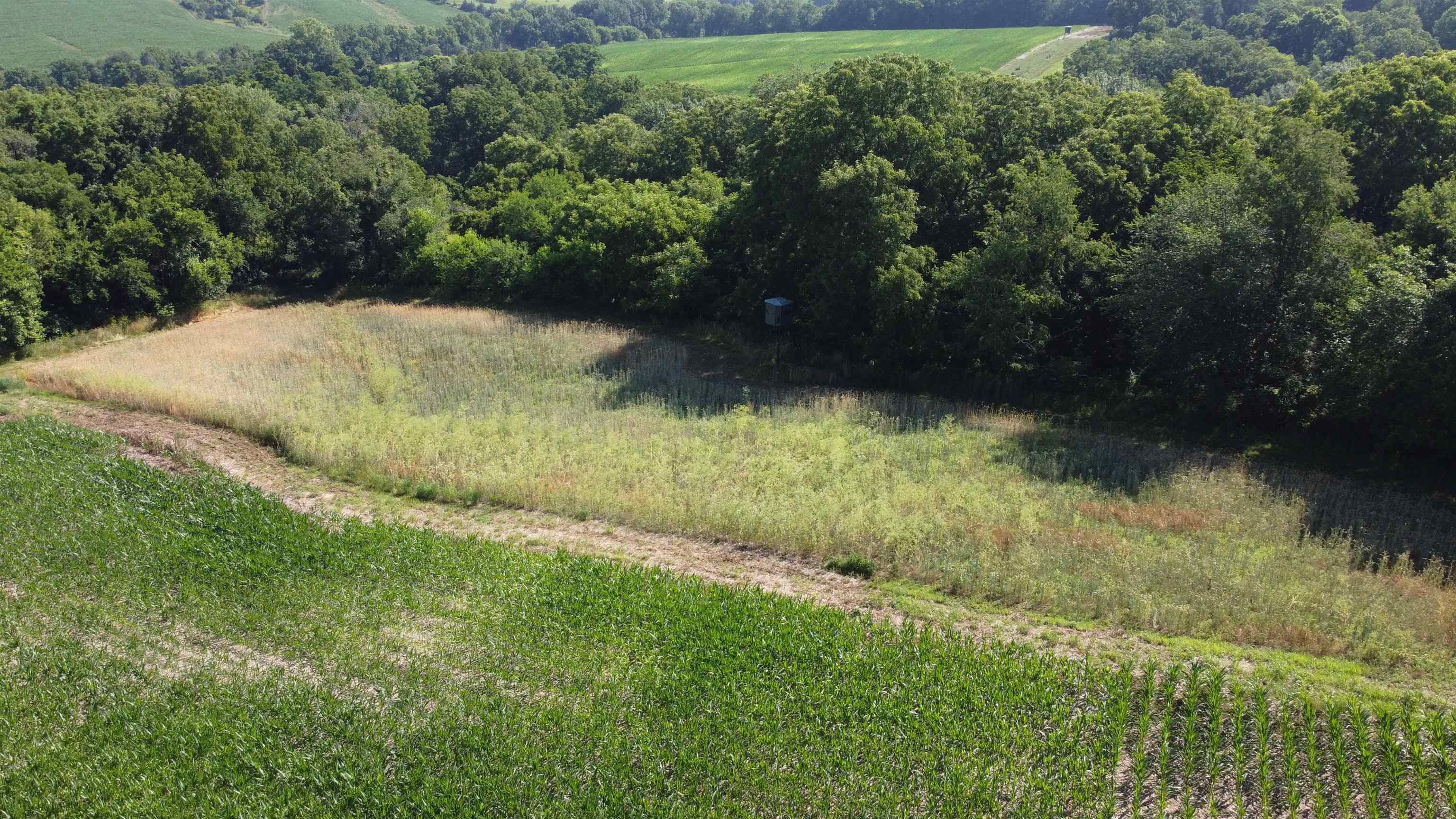 1735 West Steele Road Hanover, IL 61041 - Photo 44 of 70 a view of lake background with green space