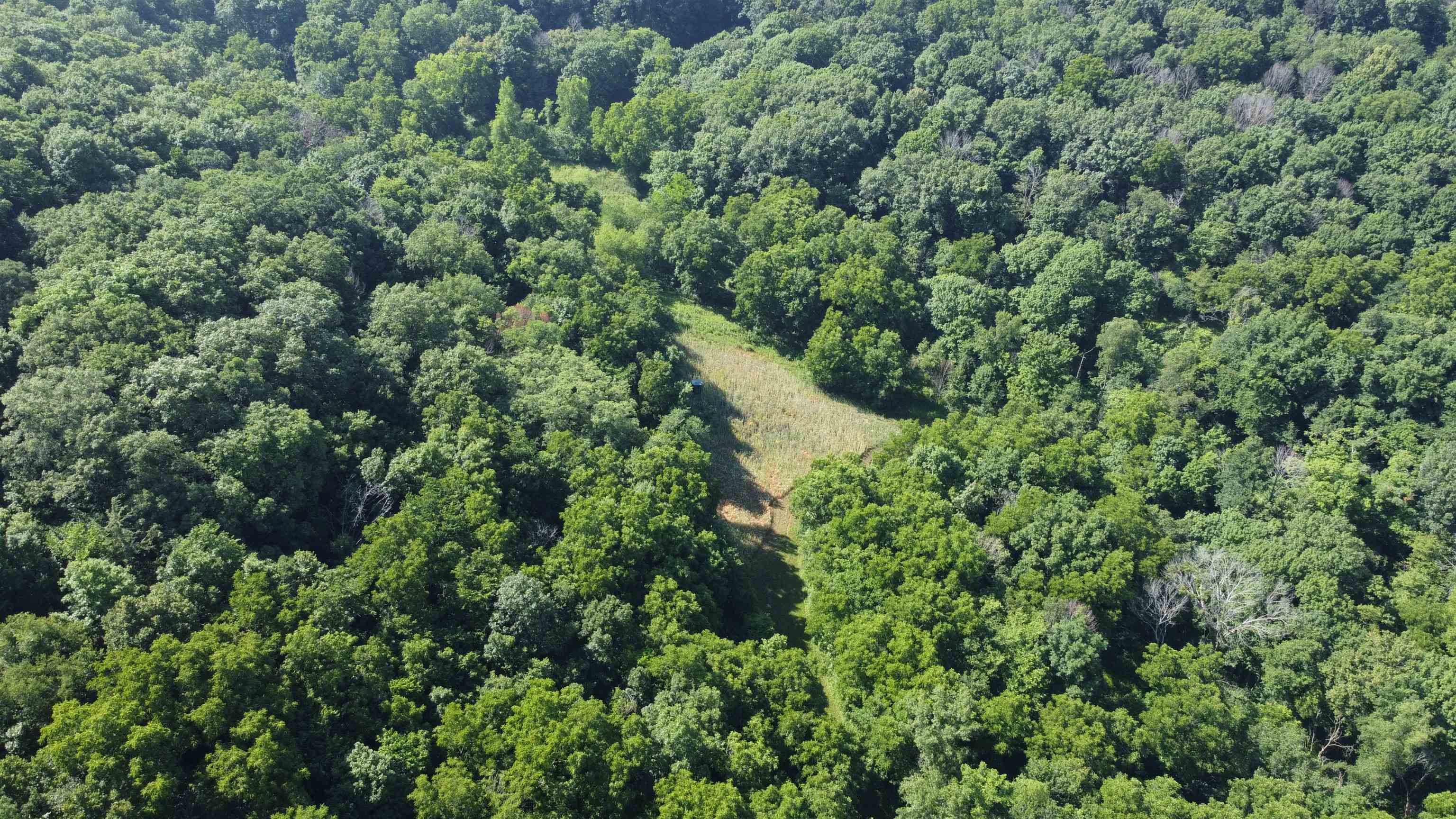 1735 West Steele Road Hanover, IL 61041 - Photo 48 of 70 an aerial view of residential house with outdoor space and trees all around