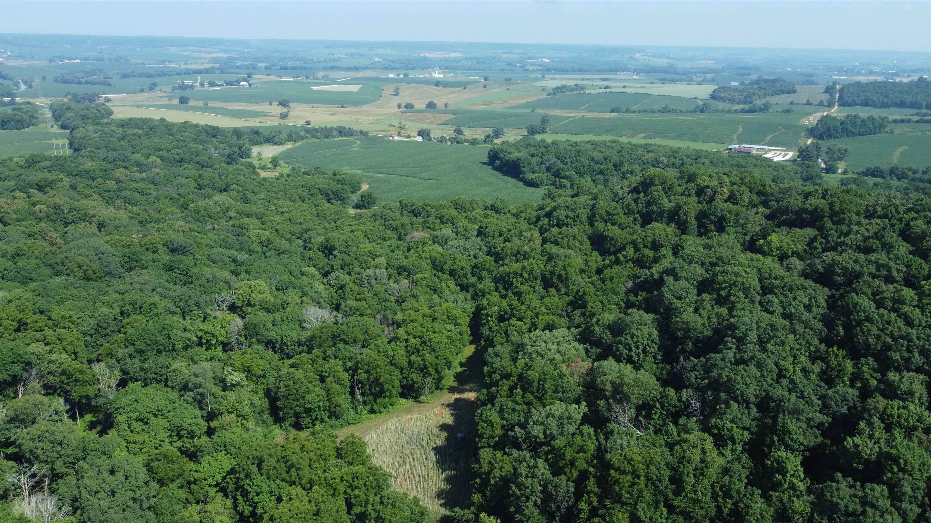 1735 West Steele Road Hanover, IL 61041 - Photo 51 of 70 a view of a lush green forest with lots of trees