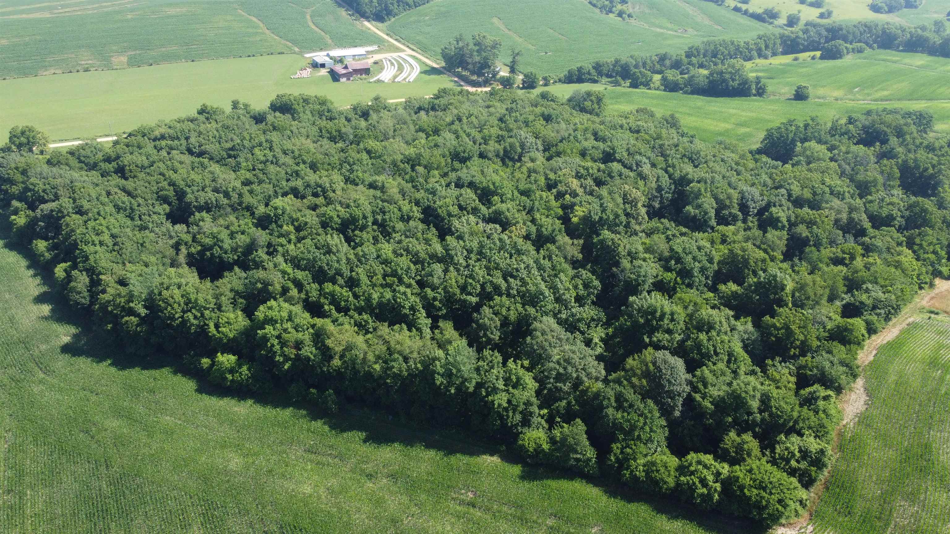 1735 West Steele Road Hanover, IL 61041 - Photo 58 of 70 an aerial view of residential house with outdoor space and trees all around