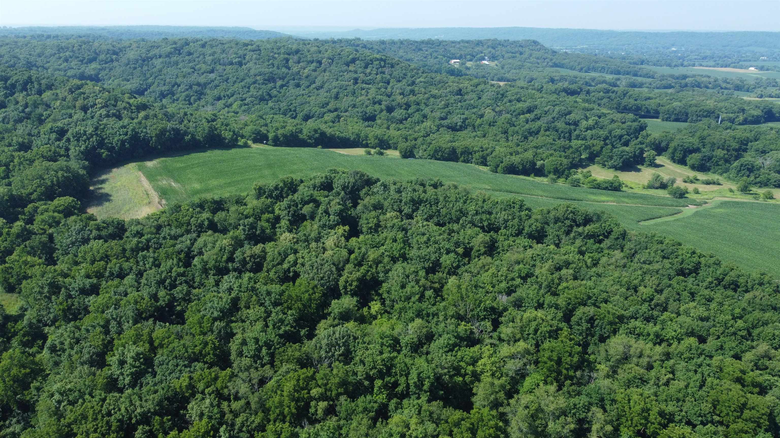 1735 West Steele Road Hanover, IL 61041 - Photo 60 of 70 a view of a lush green forest with trees and some houses