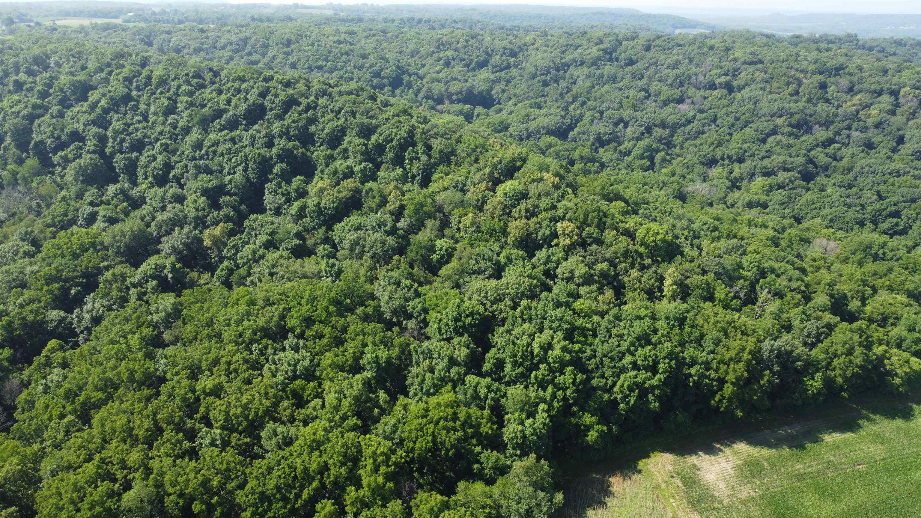 1735 West Steele Road Hanover, IL 61041 - Photo 6 of 70 a view of a forest with a lake