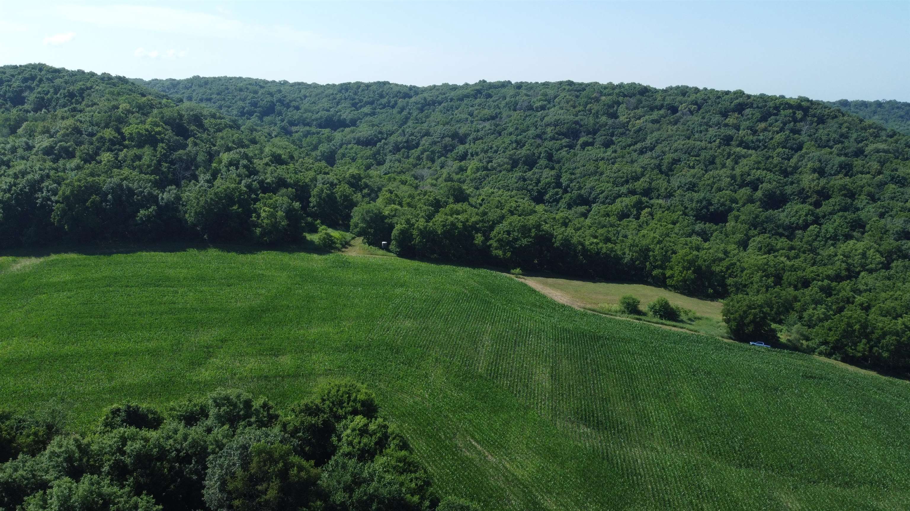 1735 West Steele Road Hanover, IL 61041 - Photo 65 of 70 a view of a lush green field with lots of bushes