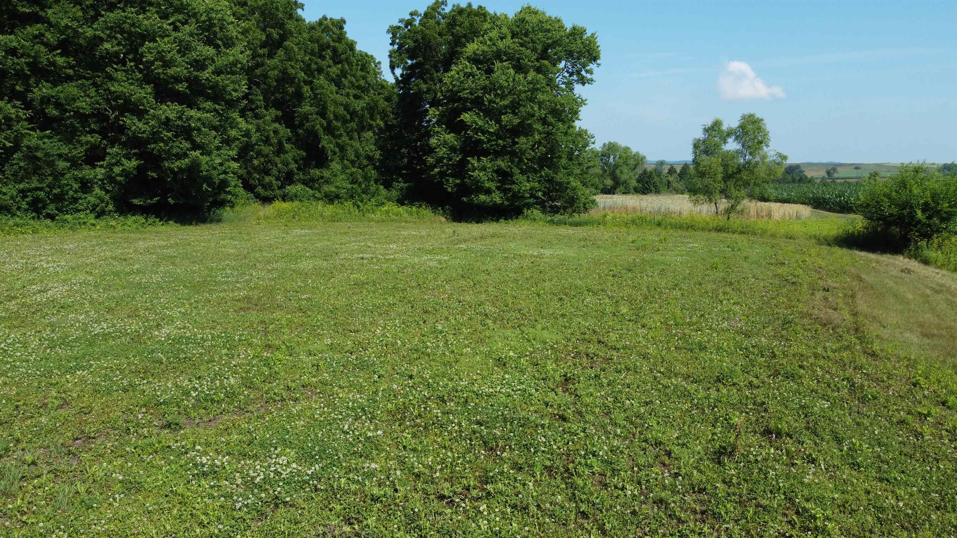 1735 West Steele Road Hanover, IL 61041 - Photo 66 of 70 a view of yard with green space