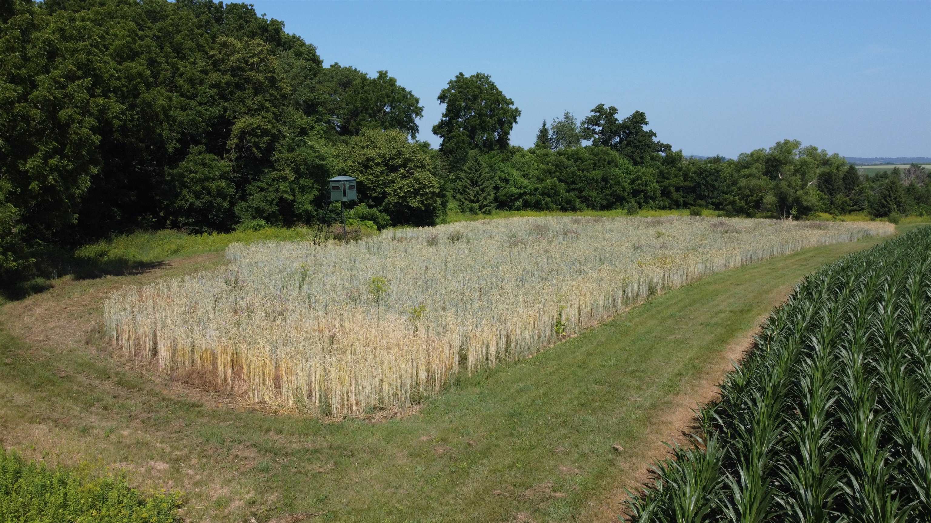 1735 West Steele Road Hanover, IL 61041 - Photo 67 of 70 a view of a lush green yard next to a lake
