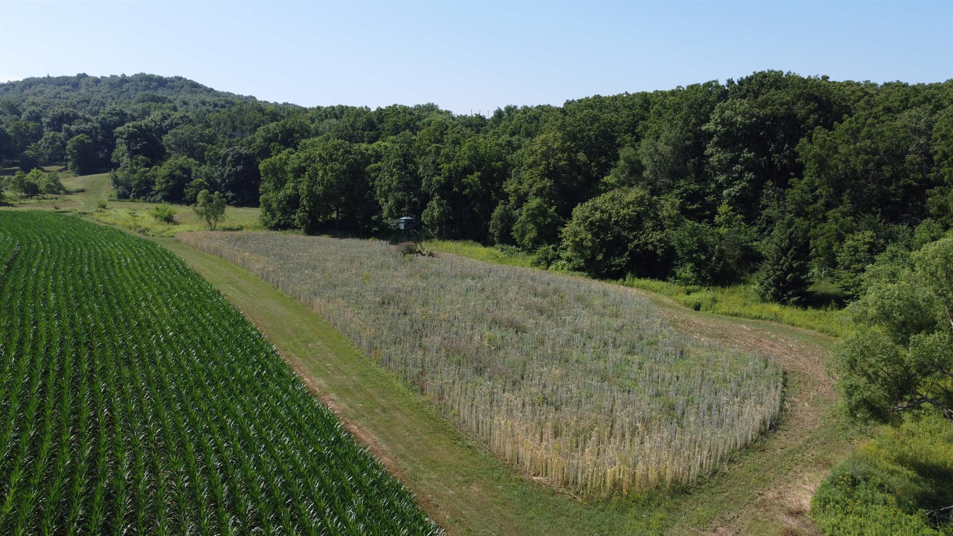 1735 West Steele Road Hanover, IL 61041 - Photo 7 of 70