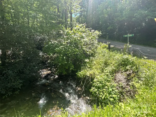 a view of a yard with plants and large trees