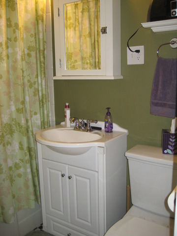 810 North Spring Street, Unit 810 Elgin, IL 60120 - Photo 11 of 22