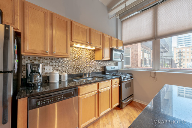 500 South Clinton Street, Unit 416 Chicago, IL 60607 - Photo 11 of 28