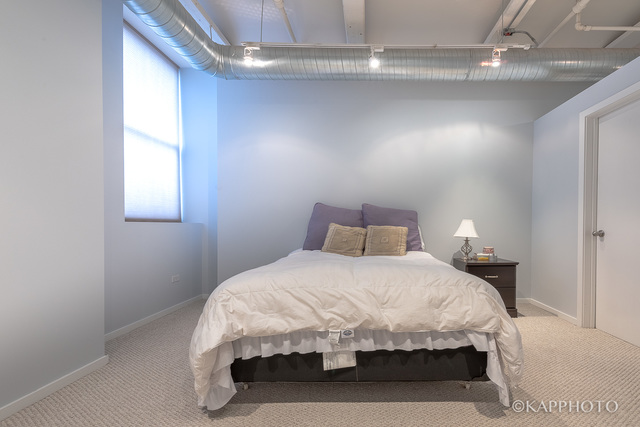 500 South Clinton Street, Unit 416 Chicago, IL 60607 - Photo 17 of 28