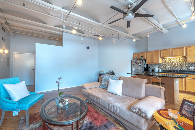 500 South Clinton Street, Unit 416 Chicago, IL 60607 - Photo 4 of 28