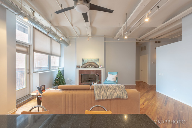500 South Clinton Street, Unit 416 Chicago, IL 60607 - Photo 7 of 28