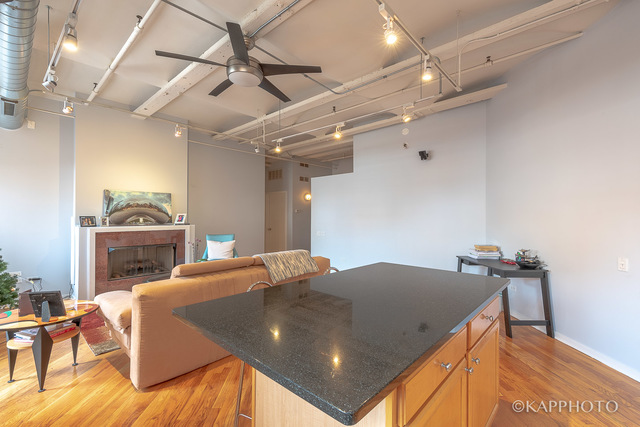 500 South Clinton Street, Unit 416 Chicago, IL 60607 - Photo 8 of 28