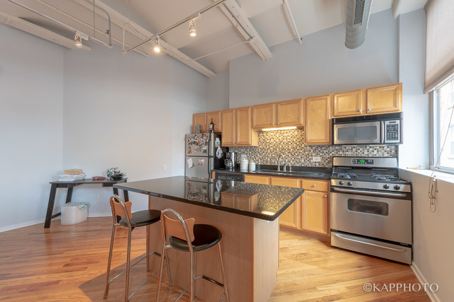 500 South Clinton Street, Unit 416 Chicago, IL 60607 - Photo 9 of 28