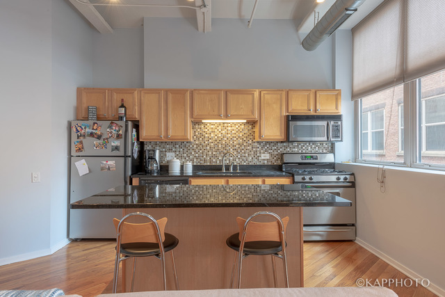 500 South Clinton Street, Unit 416 Chicago, IL 60607 - Photo 10 of 28