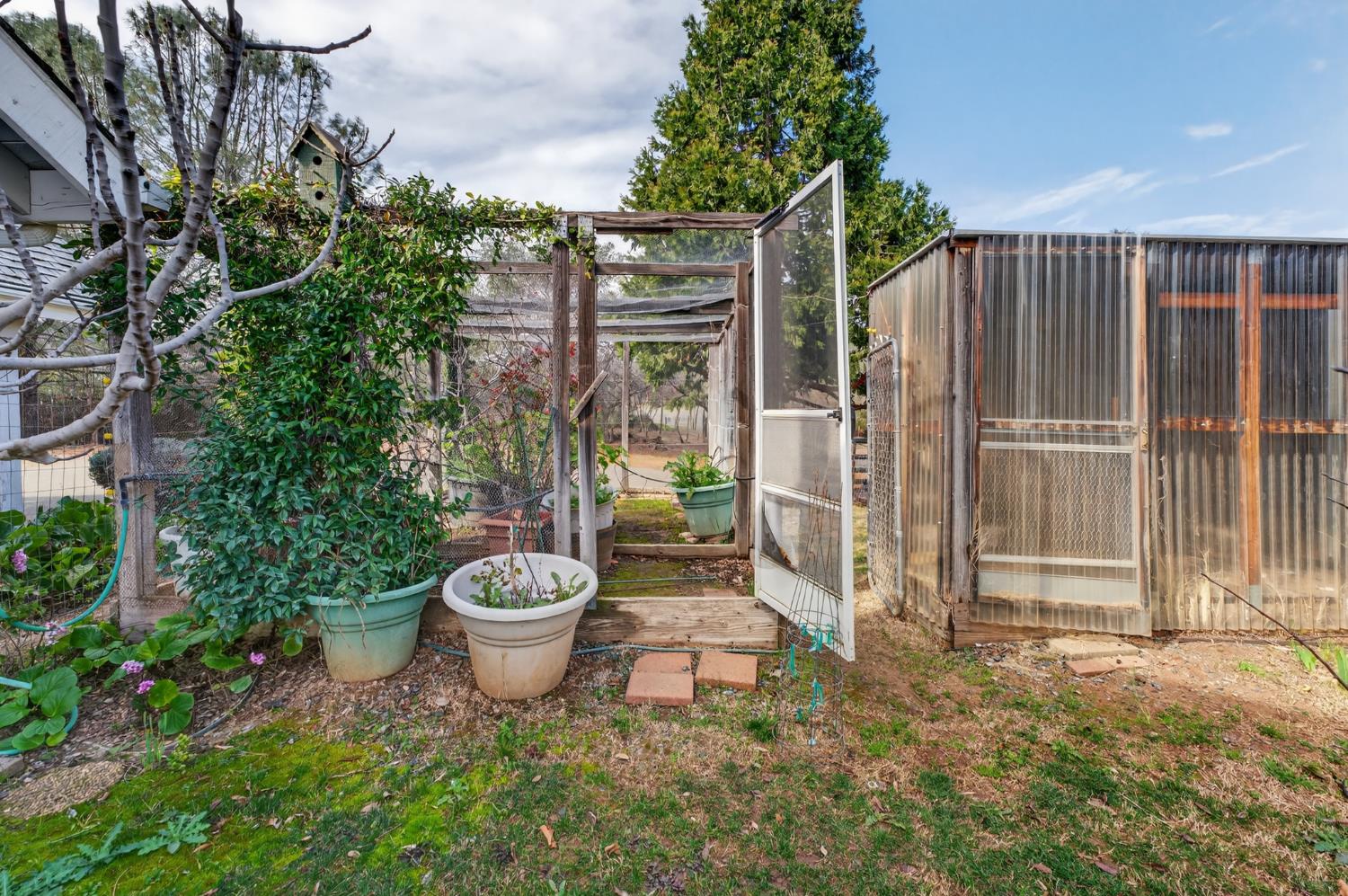 3940 Pineoakyo Court Rescue, CA 95672 - Photo 29 of 44