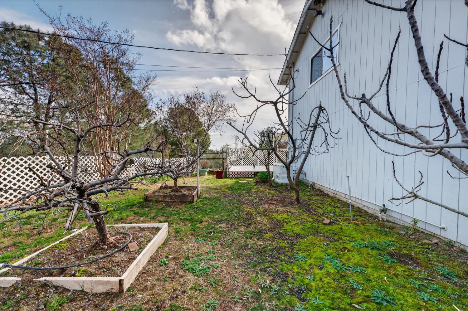 3940 Pineoakyo Court Rescue, CA 95672 - Photo 30 of 44