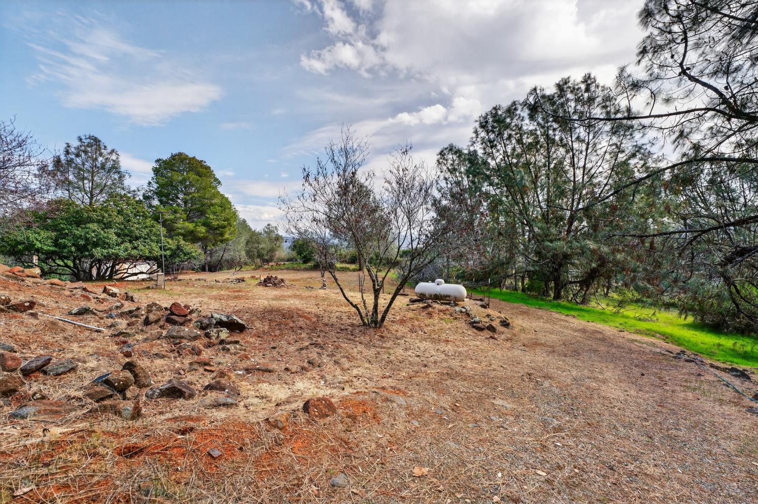 3940 Pineoakyo Court Rescue, CA 95672 - Photo 32 of 44