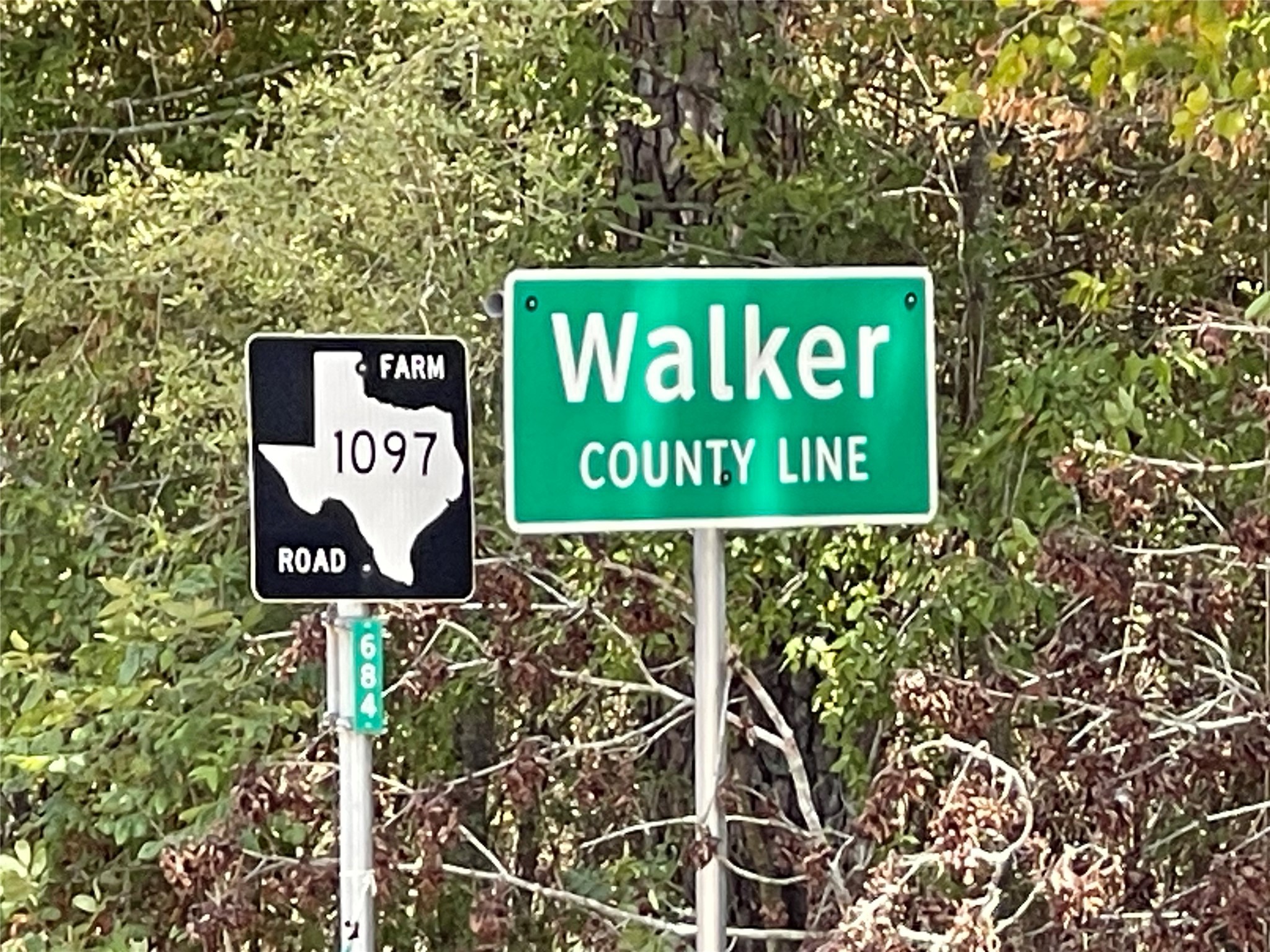 127 Gypsum Road New Waverly, TX 77358 - Photo 9 of 13