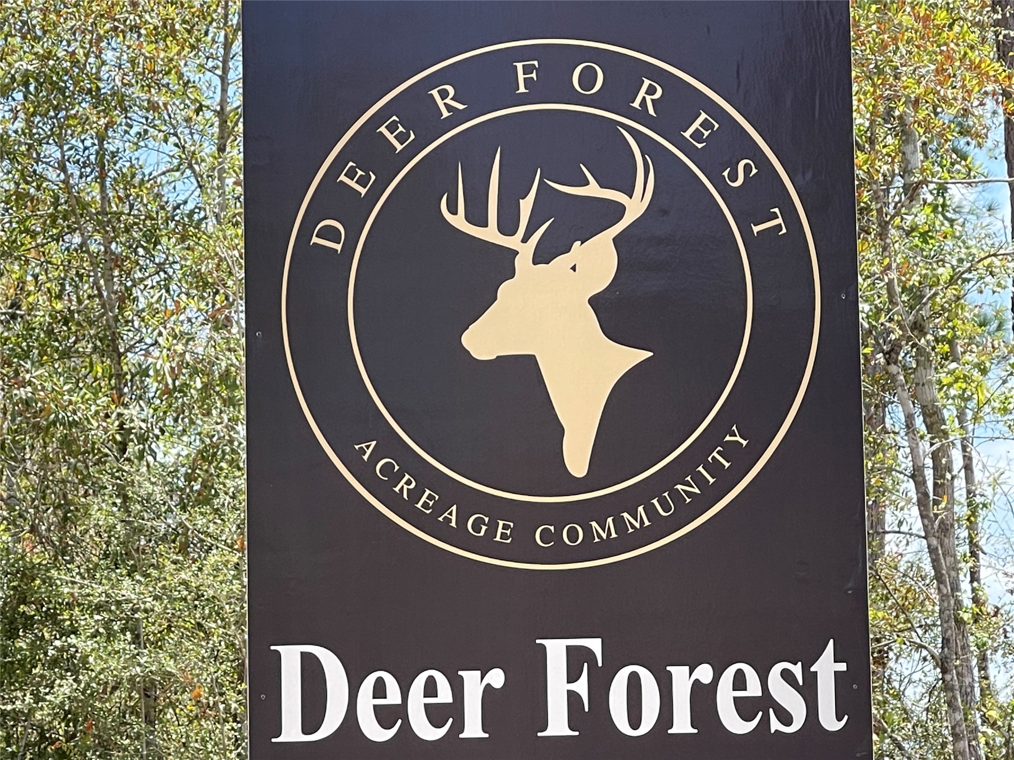 127 Gypsum Road New Waverly, TX 77358 - Photo 10 of 13 unknown