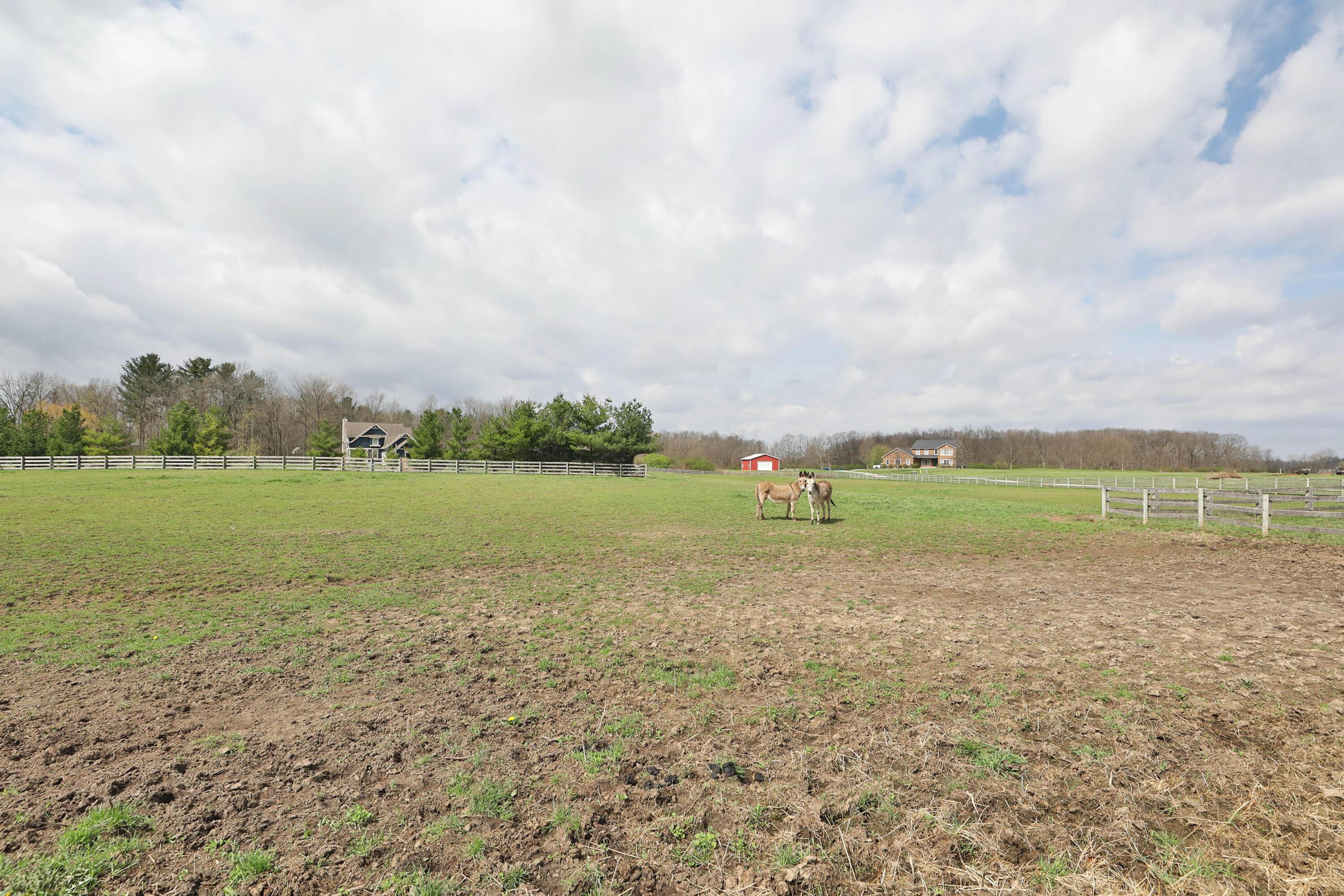 2313 Horseshoe Road Delaware, OH 43015 - Photo 44 of 56 2313-HorseshoeRd-58