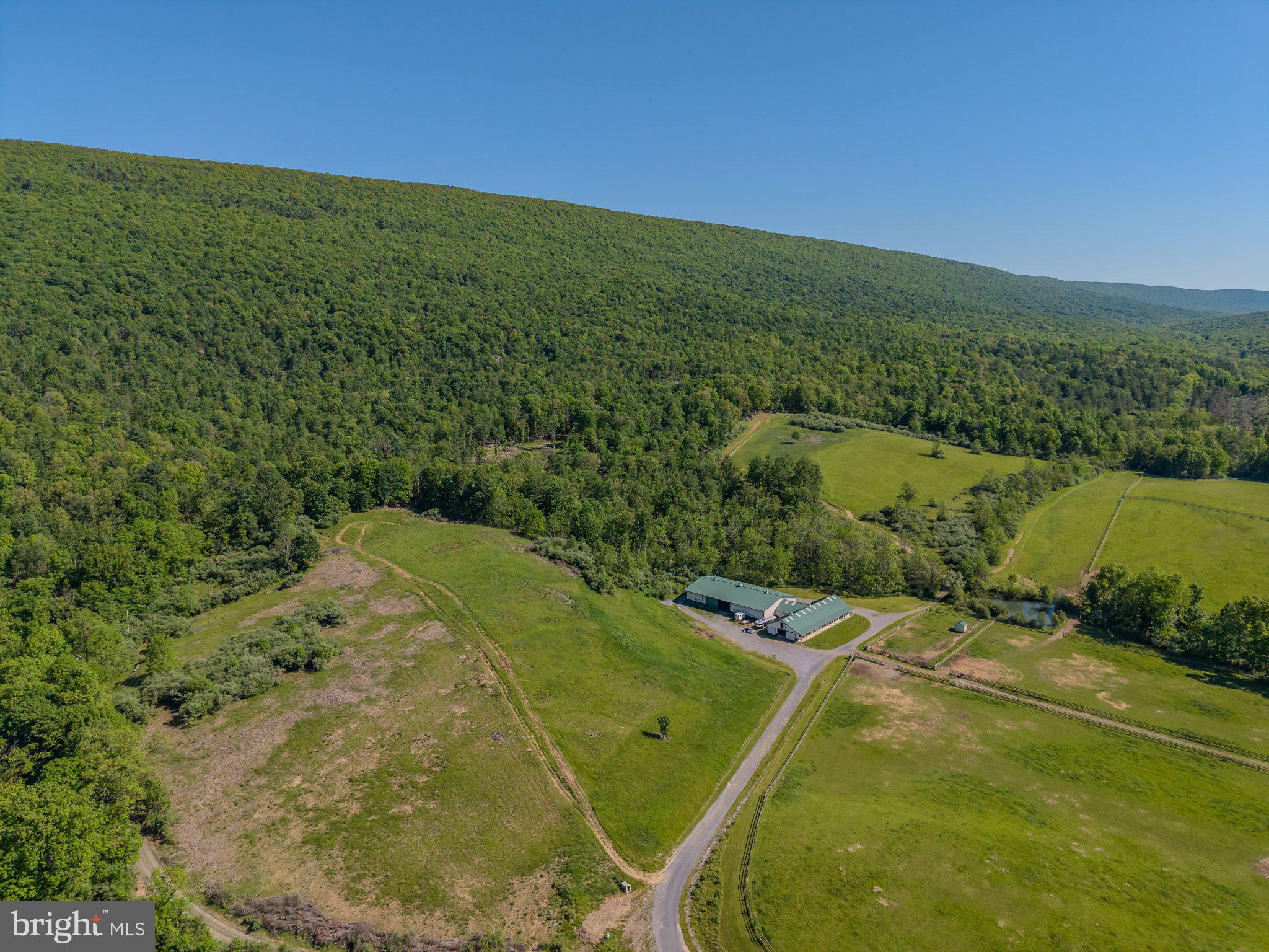 4503 Scotch Valley Road Hollidaysburg, PA 16648 - Photo 11 of 85