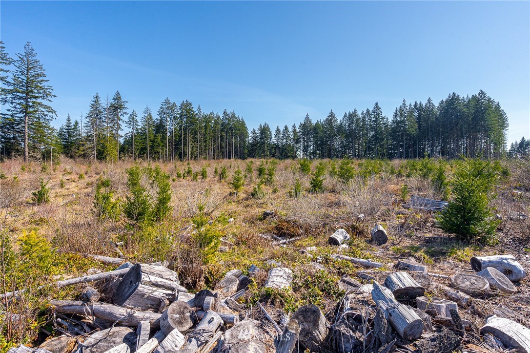 0 Kakela Road Winlock, WA 98596 - Photo 14 of 23