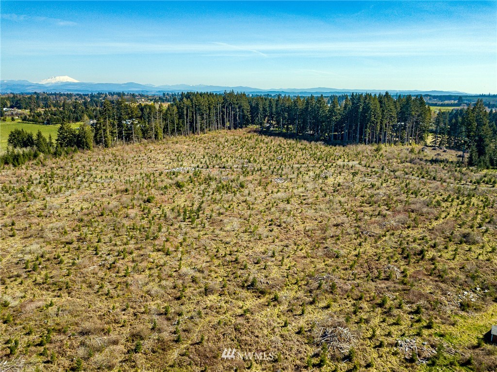 0 Kakela Road Winlock, WA 98596 - Photo 22 of 23