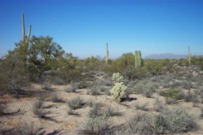 0 South M Bar J Ranch Road Marana, AZ 85658 - Photo 1 of 4