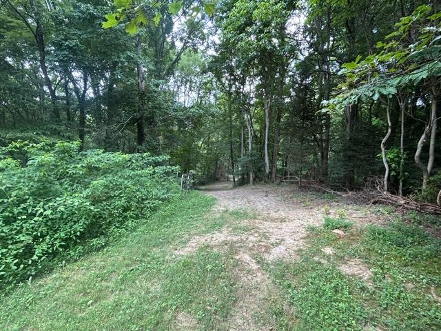 24229 Sanes Creek Road Laurel, IN 47024 - Photo 46 of 54
