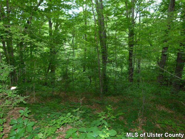 99 Rappleyea Road Lexington, NY 12492 - Photo 12 of 17 Photo 12