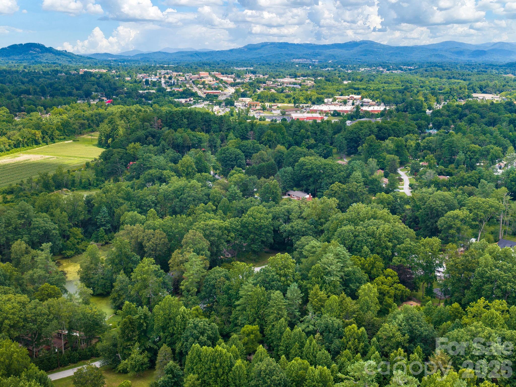 112 Lyndale Road Hendersonville, NC 28739 - Photo 29 of 30