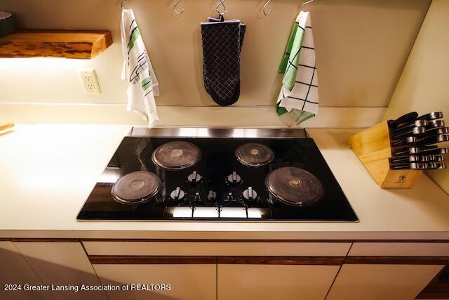 3351 Wardell Road Lansing, MI 48917 - Photo 45 of 75 052A0480