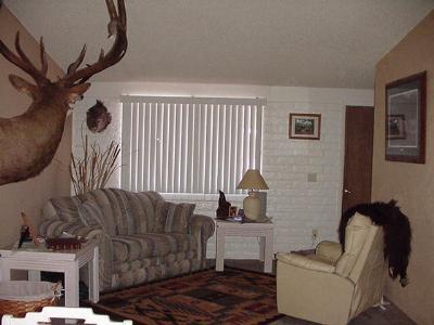 2443 Las Lomitas Road Tucson, AZ 85741 - Photo 6 of 10
