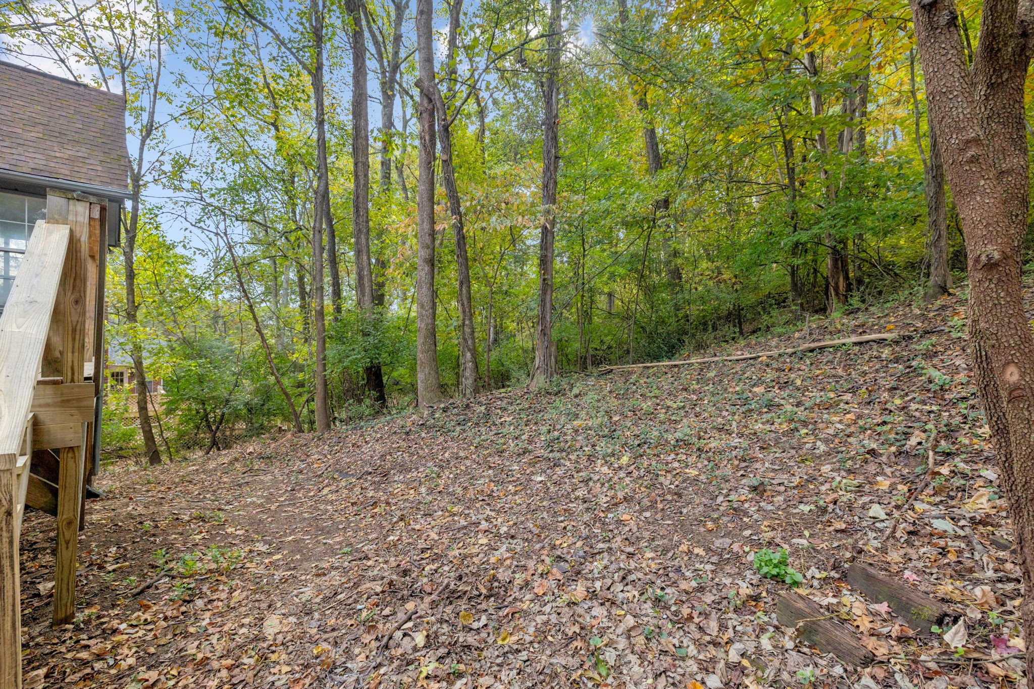 4612 Raccoon Trail Hermitage, TN 37076 - Photo 34 of 36 a view of a garden with trees
