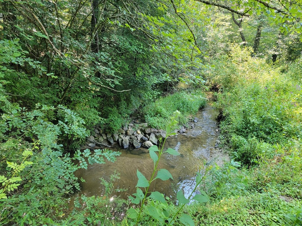 Tbd Gem Stream Road Elk Creek, VA 24326 - Photo 4 of 12 Gallery Image 4