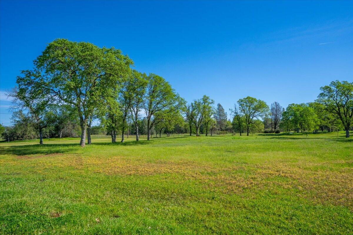 3307 Tarmac Road Redding, CA 96003 - Photo 4 of 76 Beautiful Natural Oak Landscape