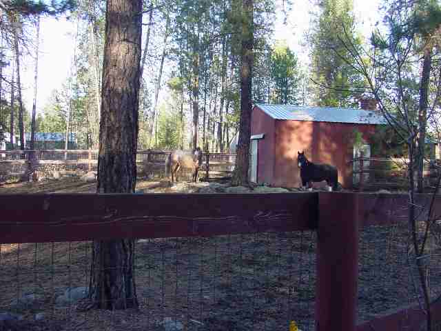 23415 North Crescent Road Chattaroy, WA 99003 - Photo 3 of 9