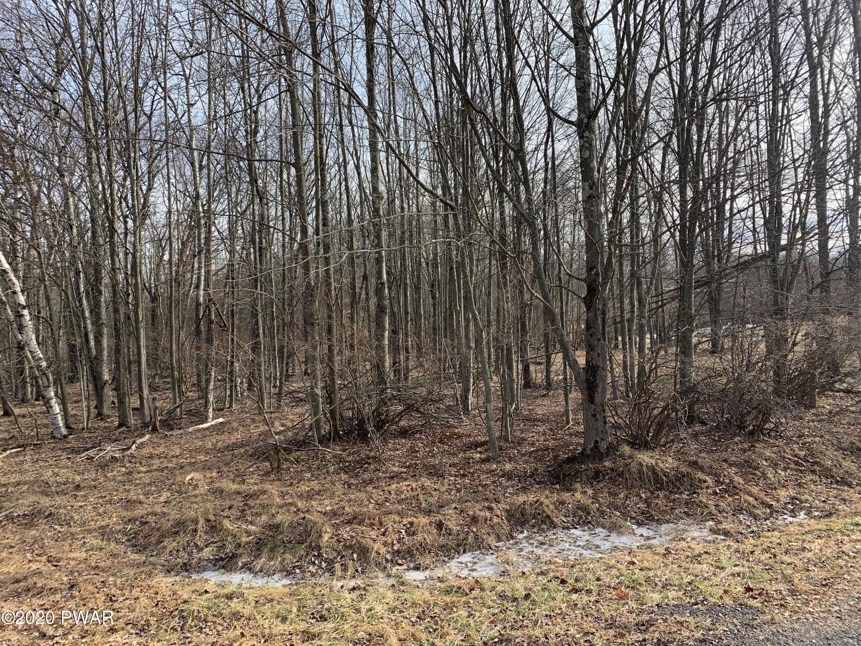 Lot 357 Black Bear Road Lake Ariel, PA 18436 - Photo 2 of 9