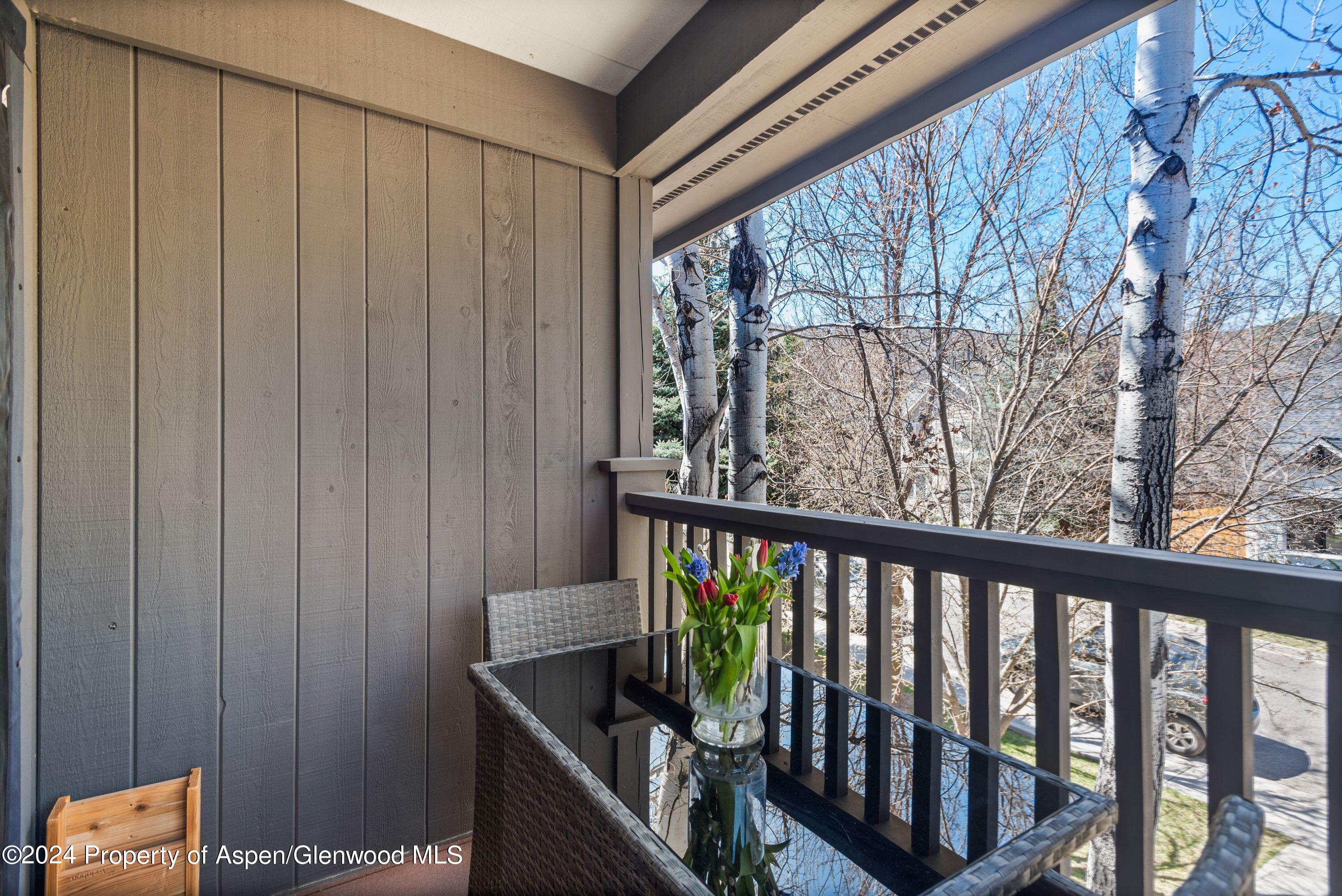 325 Summerset Lane, Unit A Basalt, CO 81621 - Photo 11 of 22 a view of a porch with furniture
