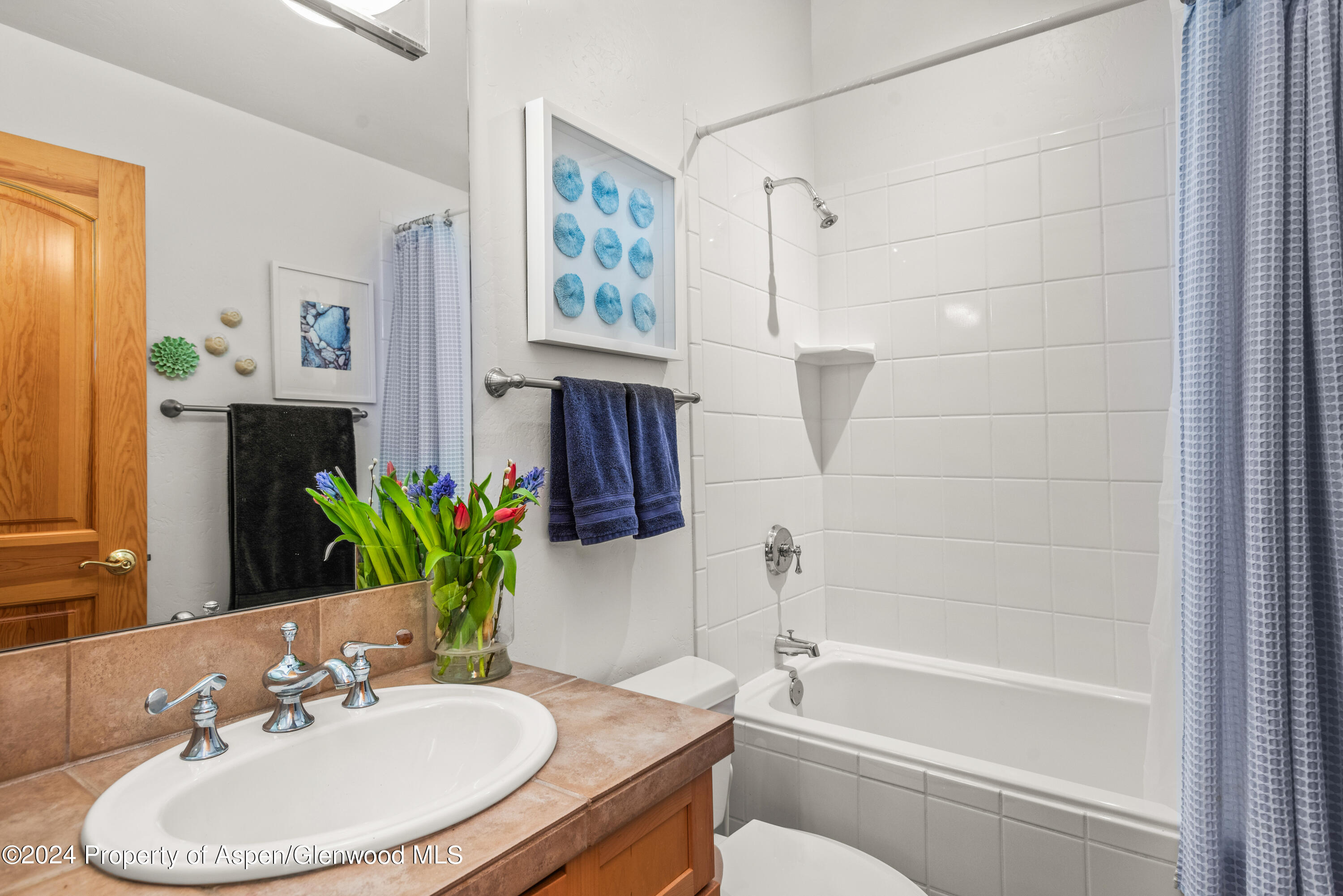 325 Summerset Lane, Unit A Basalt, CO 81621 - Photo 13 of 22 a bathroom with a sink toilet and shower