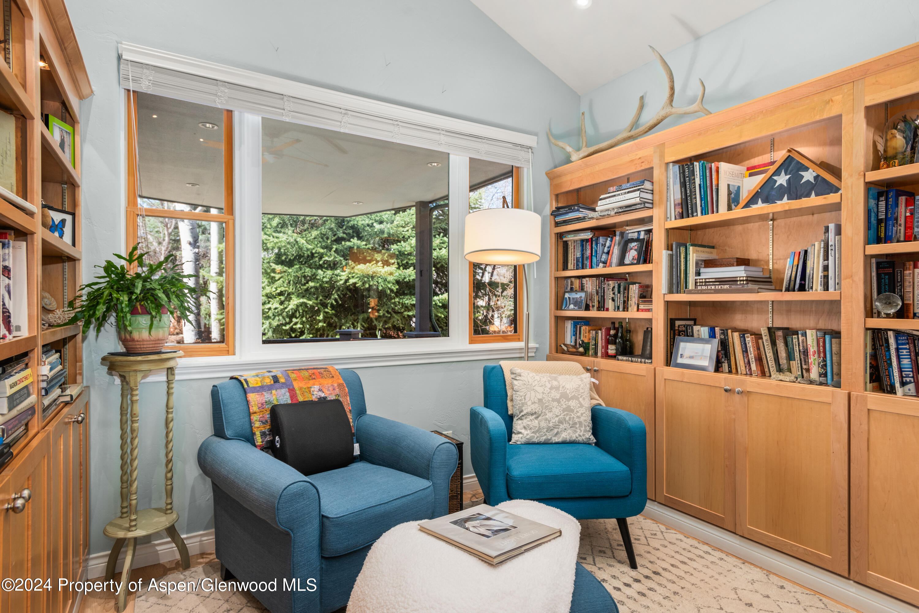 325 Summerset Lane, Unit A Basalt, CO 81621 - Photo 5 of 22 a living room with furniture a rug and a window