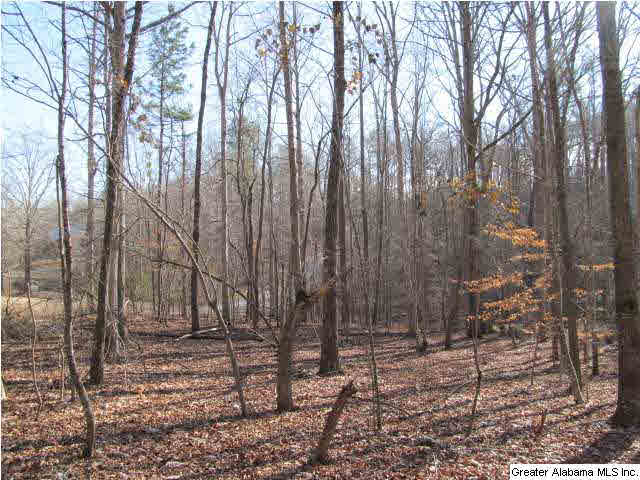 1 Signal Valley Trail Chelsea, AL 35043 - Photo 7 of 10
