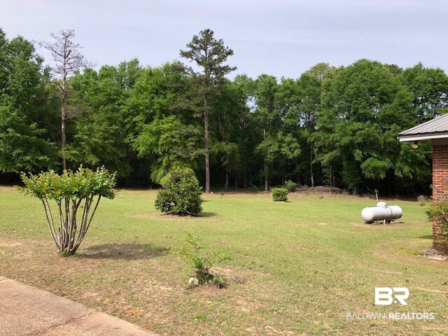1598 Long Leaf Road Peterman, AL 36471 - Photo 10 of 34