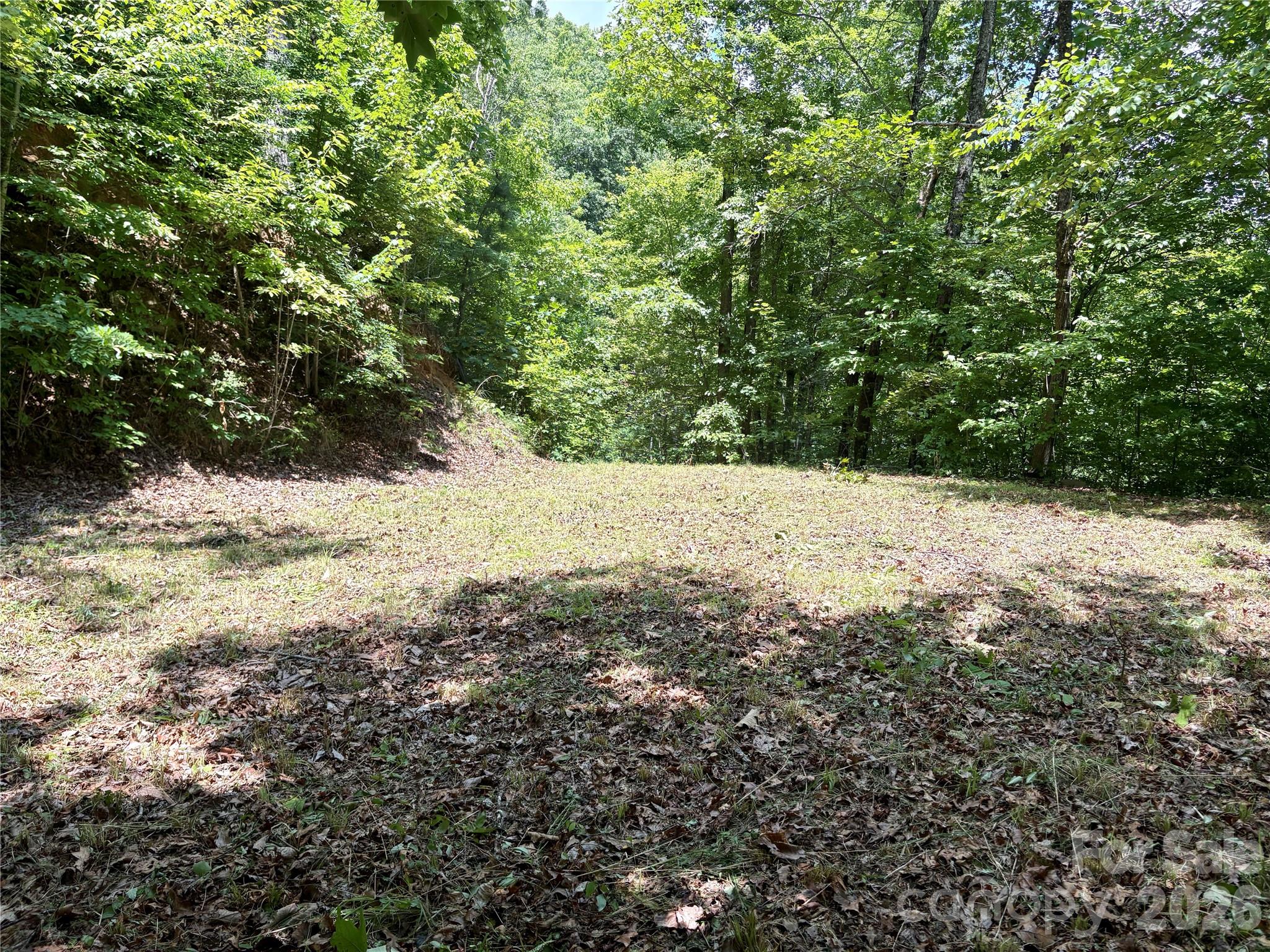 0 Eagles Roost Road, Unit 70 Bryson City, NC 28713 - Photo 5 of 14 a view of a yard with trees