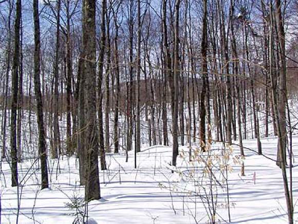 5 Colony Road Warren, VT 05674 - Photo 1 of 1