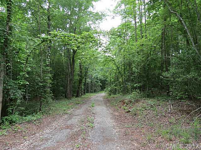 2532 Killian Road Edgemoor, SC 29712 - Photo 4 of 16 a view of a forest with trees in the background