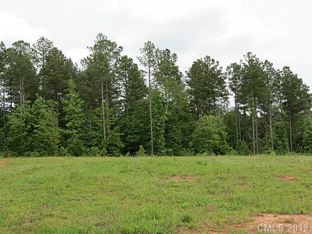 2532 Killian Road Edgemoor, SC 29712 - Photo 6 of 16 a view of outdoor space and yard